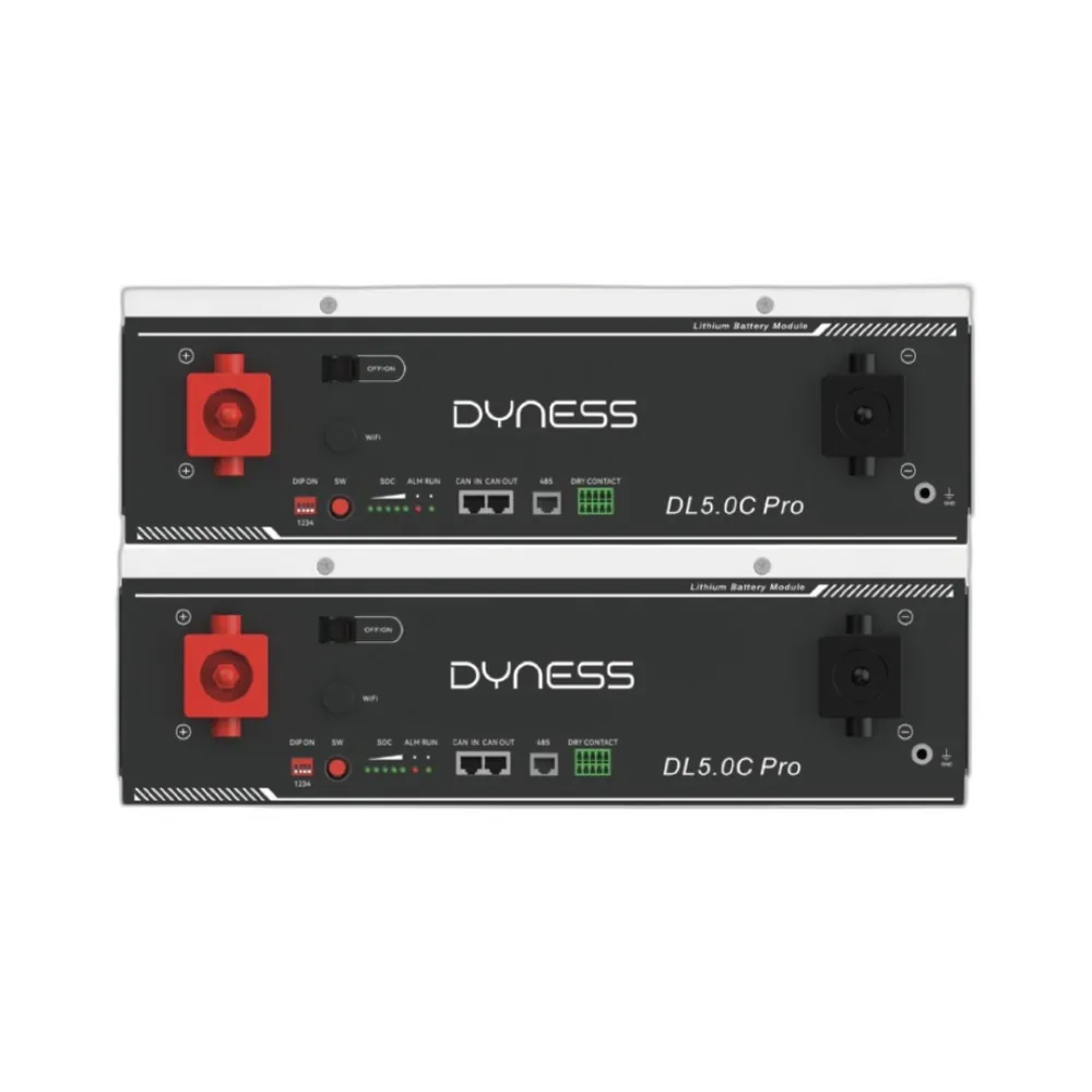 Pack 2 x Batería de Litio Dyness DL5.0C PRO 48V 5,12kWh - CuencaSolar
