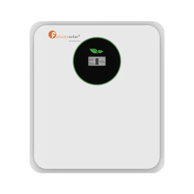 Batería de Litio 24V 2,56kWh Felicity FLA24100-EU - CuencaSolar