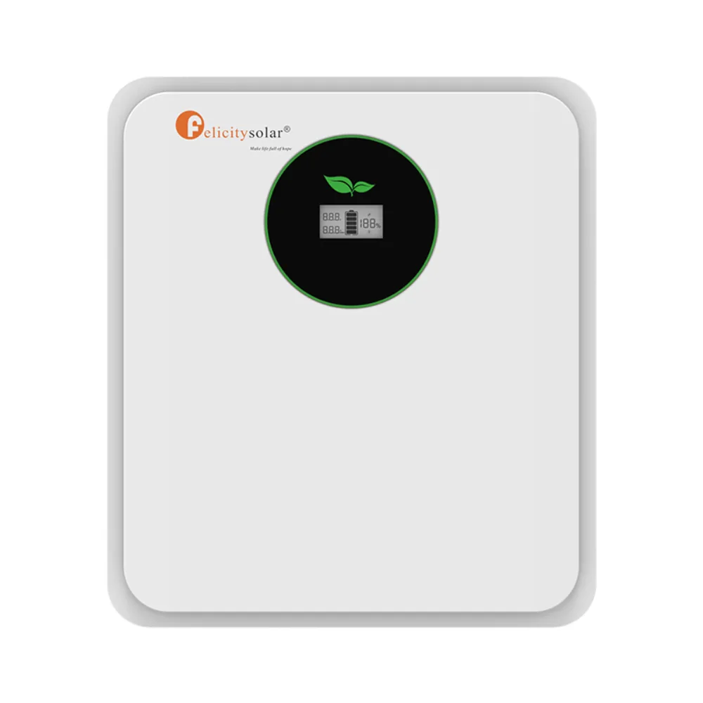 Batería de Litio 24V 2,56kWh Felicity FLA24100-EU - CuencaSolar