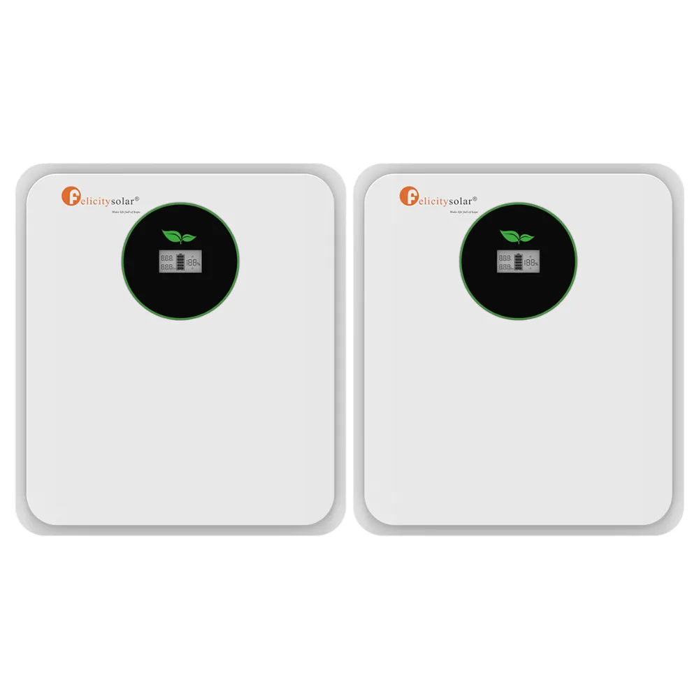 Pack 2 x Batería de Litio 24V 2,56kWh Felicity FLA24100-EU (Total 5,12kWh) - CuencaSolar